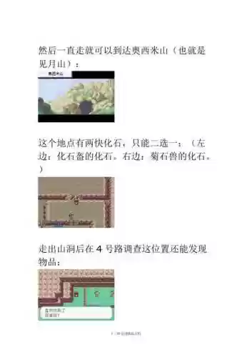 口袋妖怪火红叶绿攻略插图