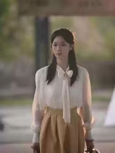 婉晴阵容插图1