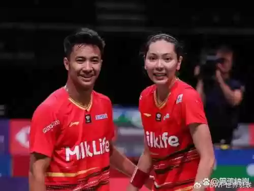 男女混双阵容插图