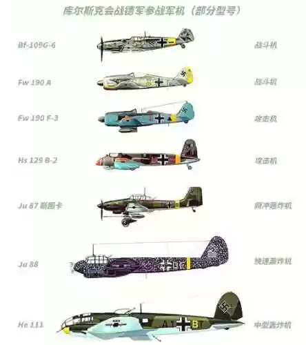 战斗鸡阵容插图