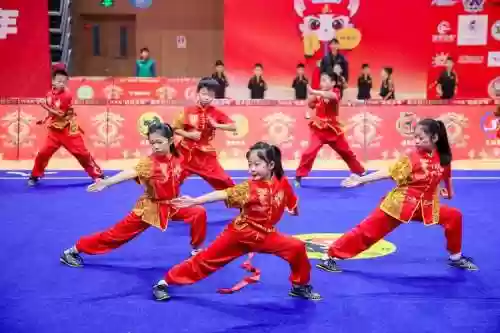 武术阵容图片插图1
