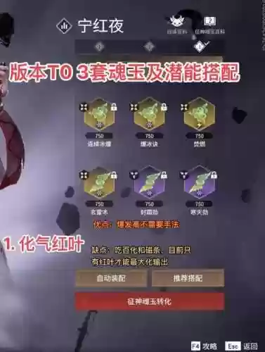 永劫神识搭配阵容插图
