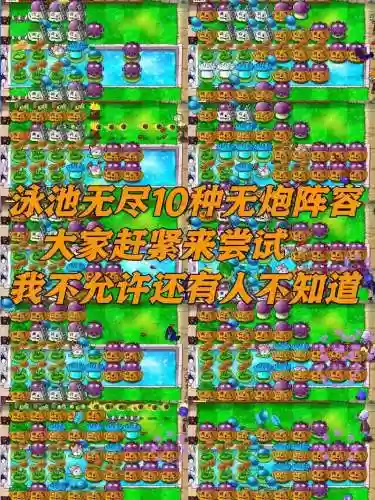 无射手阵容搭配_1插图