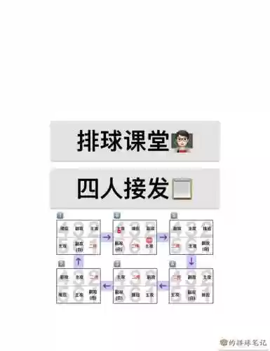 排球五一搭配阵容插图1