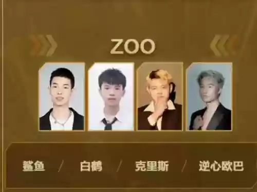 zoo新阵容插图