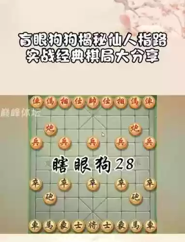 下棋狗狗阵容插图1