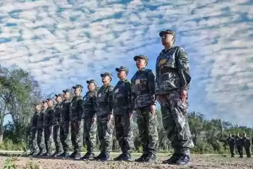 我军新阵容插图