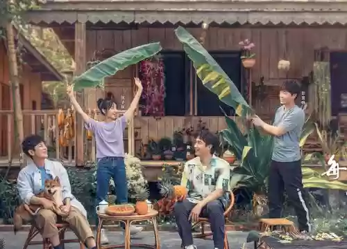 向往4人气阵容搭配_1插图1
