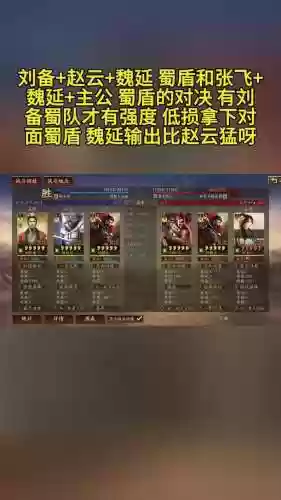 赵云刘备阵容搭配插图
