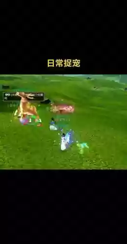 寻仙手游用什么抓宠物技能插图