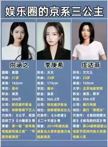 李京京搭配阵容插图