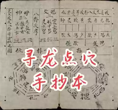 寻龙稀有技能书插图
