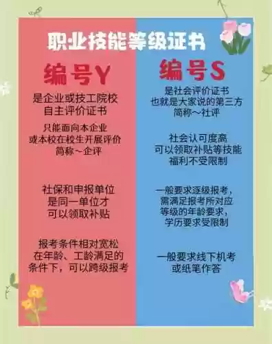 认证技能标签在哪添加插图1