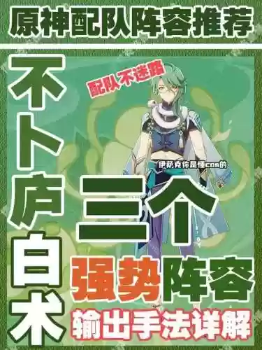 原白术阵容搭配插图1