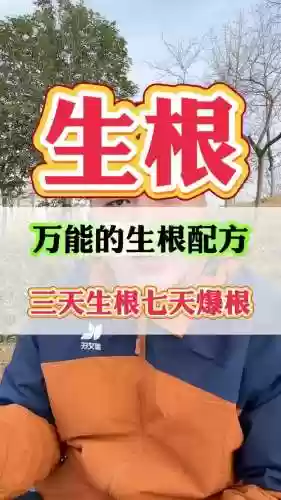 生根发芽阵容搭配插图1