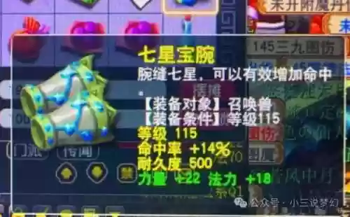 力量25宠物装备是什么颜色插图