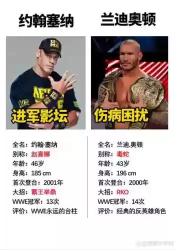 wwe塞纳所有技能名字插图1