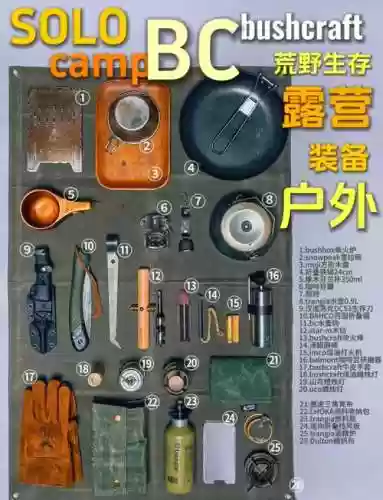荒野各个时期装备插图