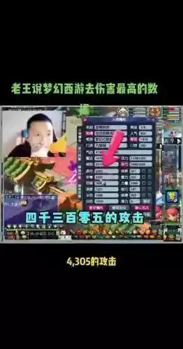 梦幻西游第一dt伤害插图