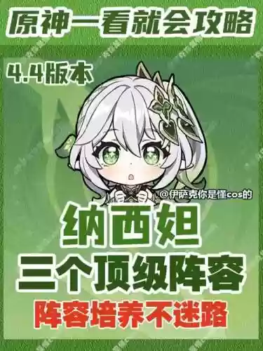 海哥阵容搭配插图1
