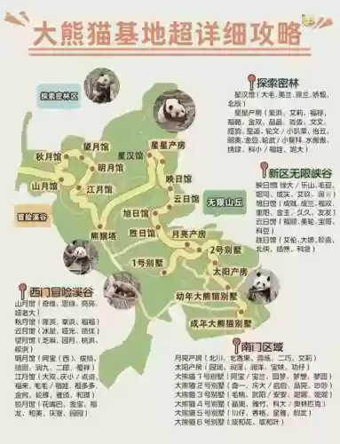 旅行熊猫攻略插图1