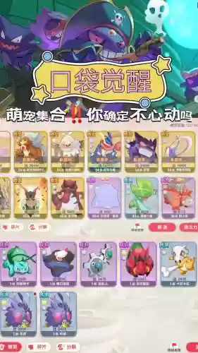 口袋黑白阵容搭配插图1