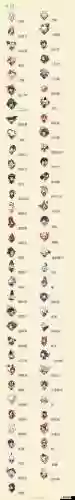 新版书翁技能介绍插图1