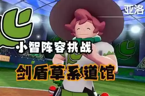 剑盾龙系道馆阵容搭配插图1