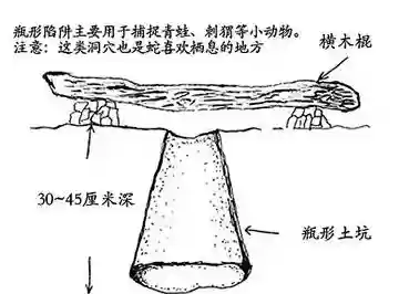 坚固的捕鹤陷阱攻略_1插图1