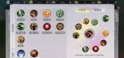 完美世界兽兽精灵加什么技能插图