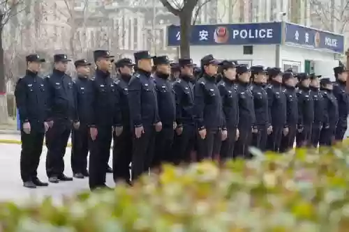 警员阵容搭配插图1