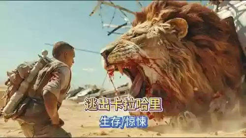 饥饿的狮子逃脱1攻略，饥饿的狮子逃脱1攻略图文插图1