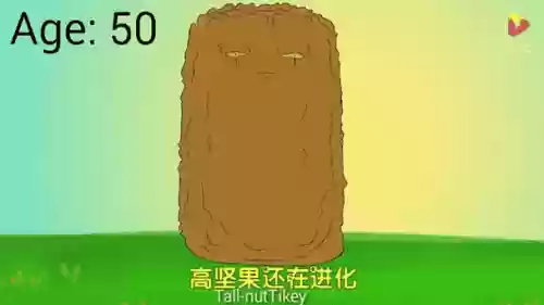 高坚果攻略，高坚果在哪里掉落插图1