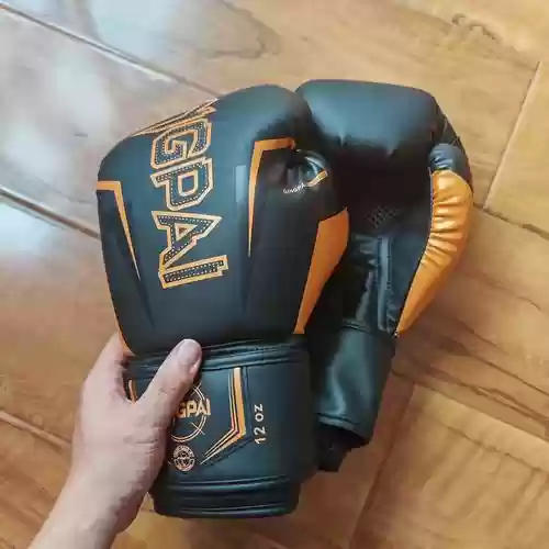 男散打武器拳套还是臂铠，男散打毕业套插图