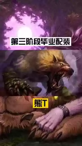 熊t装备精通，熊t装备选择插图1