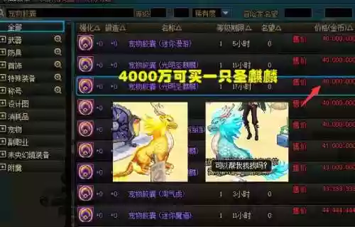 宠物装备可以跨界么，宠物装备可交易插图1
