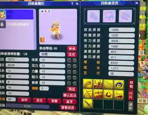 梦幻西游玩个完善号能出菜，梦幻西游完善资料插图1