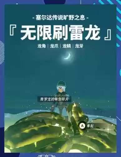 塞尔达刷龙装备，塞尔达刷龙材料插图