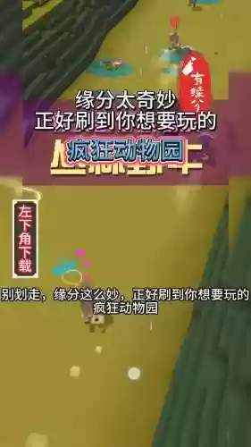 疯狂动物园装备，疯狂动物园在哪里换装插图