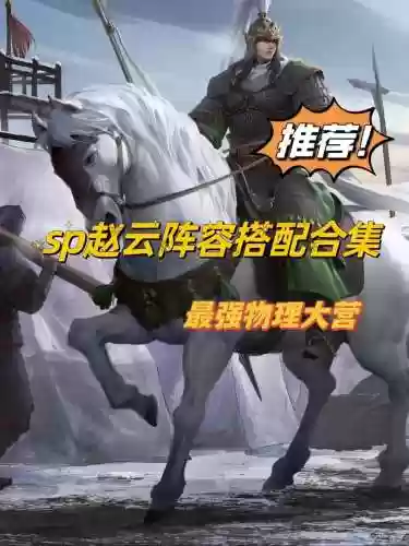 赵云平民搭配阵容，赵云搭配什么技能插图