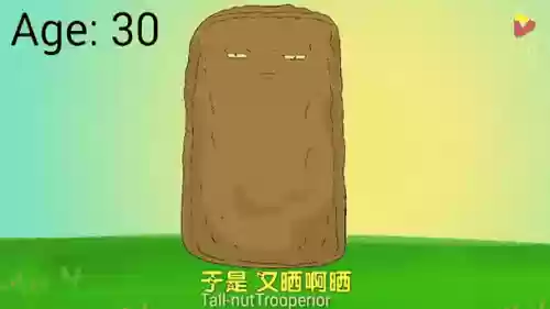 高坚果攻略，高坚果在哪里掉落插图