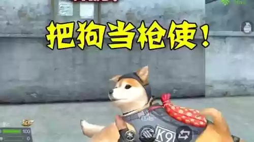 cf手游狗年武器强化，cf手游狗枪怎么得插图1