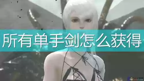 尼尔武器强4，尼尔武器强度插图1