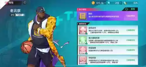 街蓝技能怎么升级，街篮技能属性只有装备才有效么插图