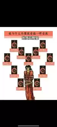 塔子搭配阵容，塔是什么伤害插图1