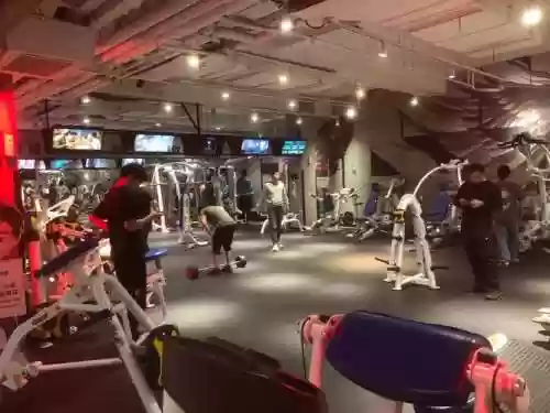 体育馆豪华治疗阵容搭配，体育馆诊所插图1