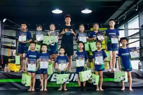 青少年训练生阵容搭配，青少年训练营是什么插图