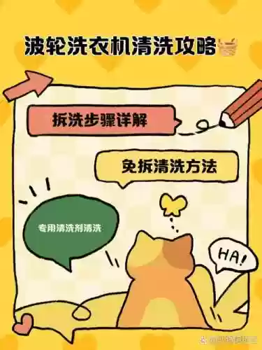 天天打波利洗技能，天天打波利怎么洗急效插图1
