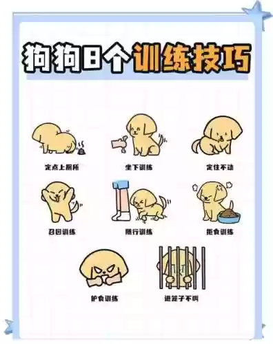 狗子攻略100%，狗子技能插图1