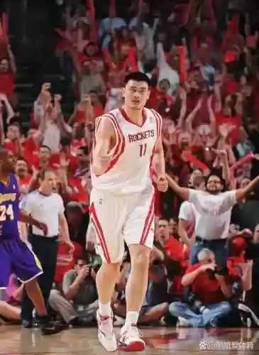 中锋最强壮的阵容搭配,中锋实战插图1 中锋最强壮的阵容搭配,中锋实战插图1